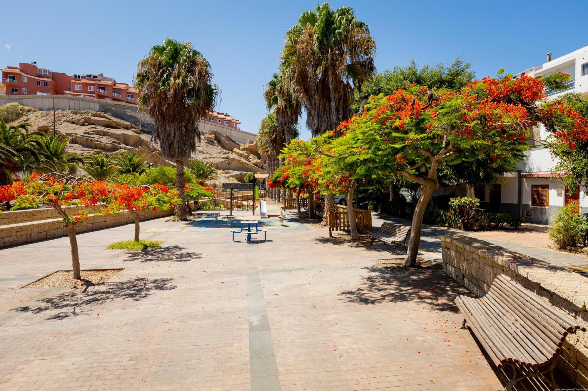 House Bijagua, Tajao, Tenerife La Jaca ภายนอก รูปภาพ